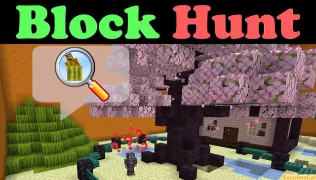 Map: Block Hunter