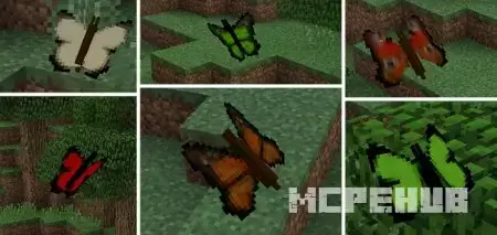 Butterfly Mod