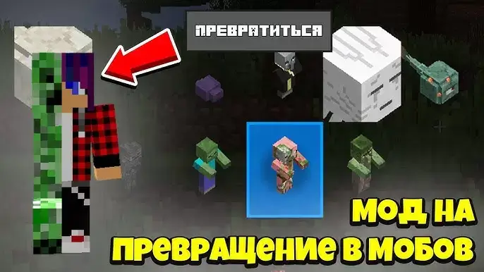 Mob Transformation Mod