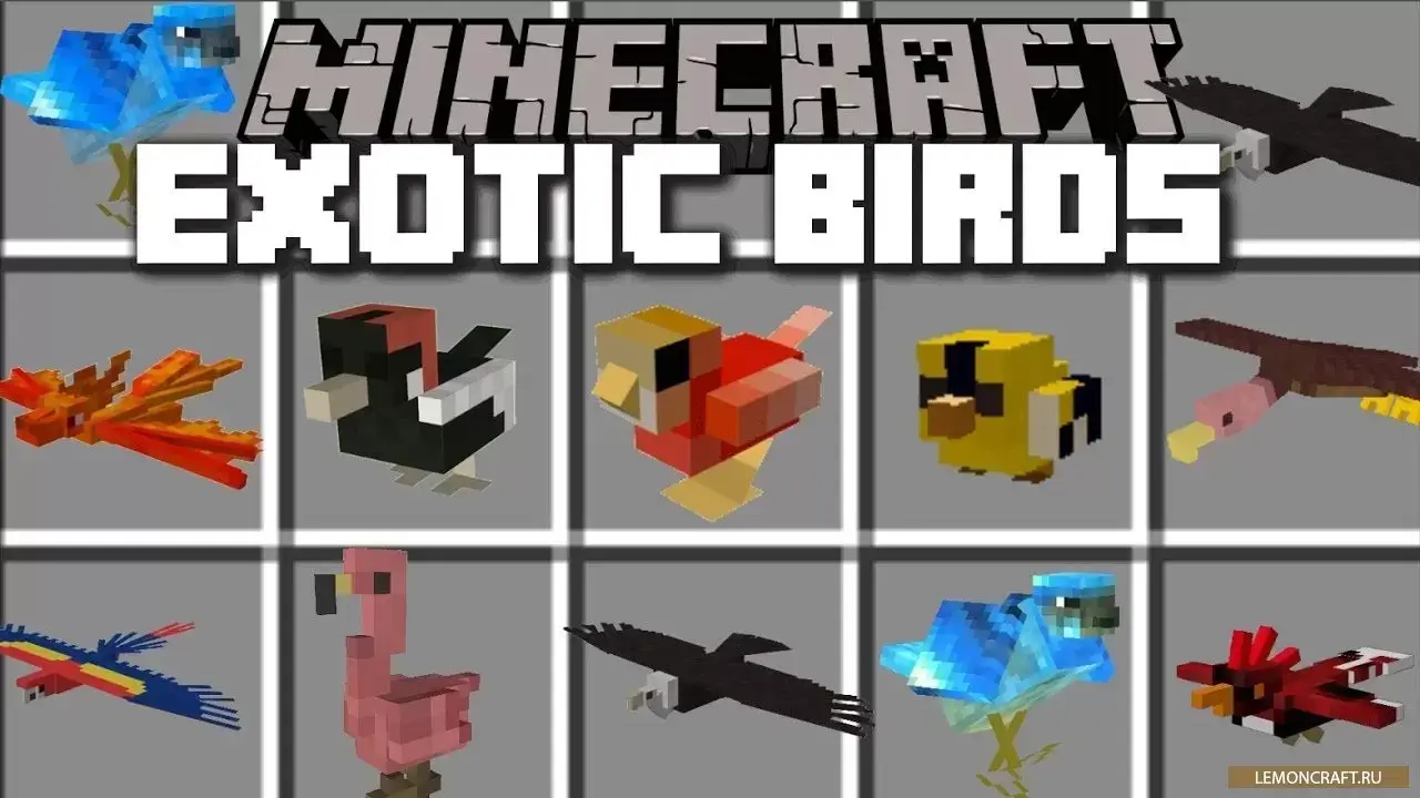 Bird Mod